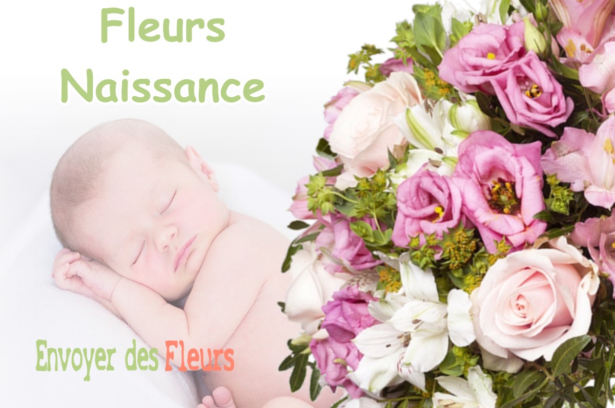 lIVRAISON FLEURS NAISSANCE à MAILLAS